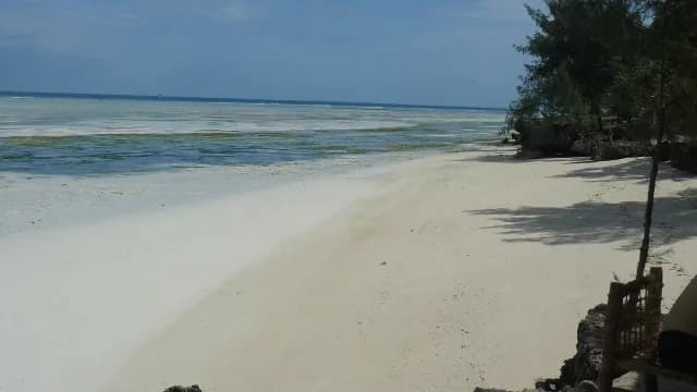 hotel paje palms beach resort